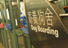 Dog boarding area