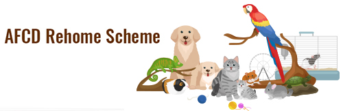 AFCD Rehome Scheme Banner