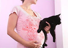 A pregnant lady holding her cat