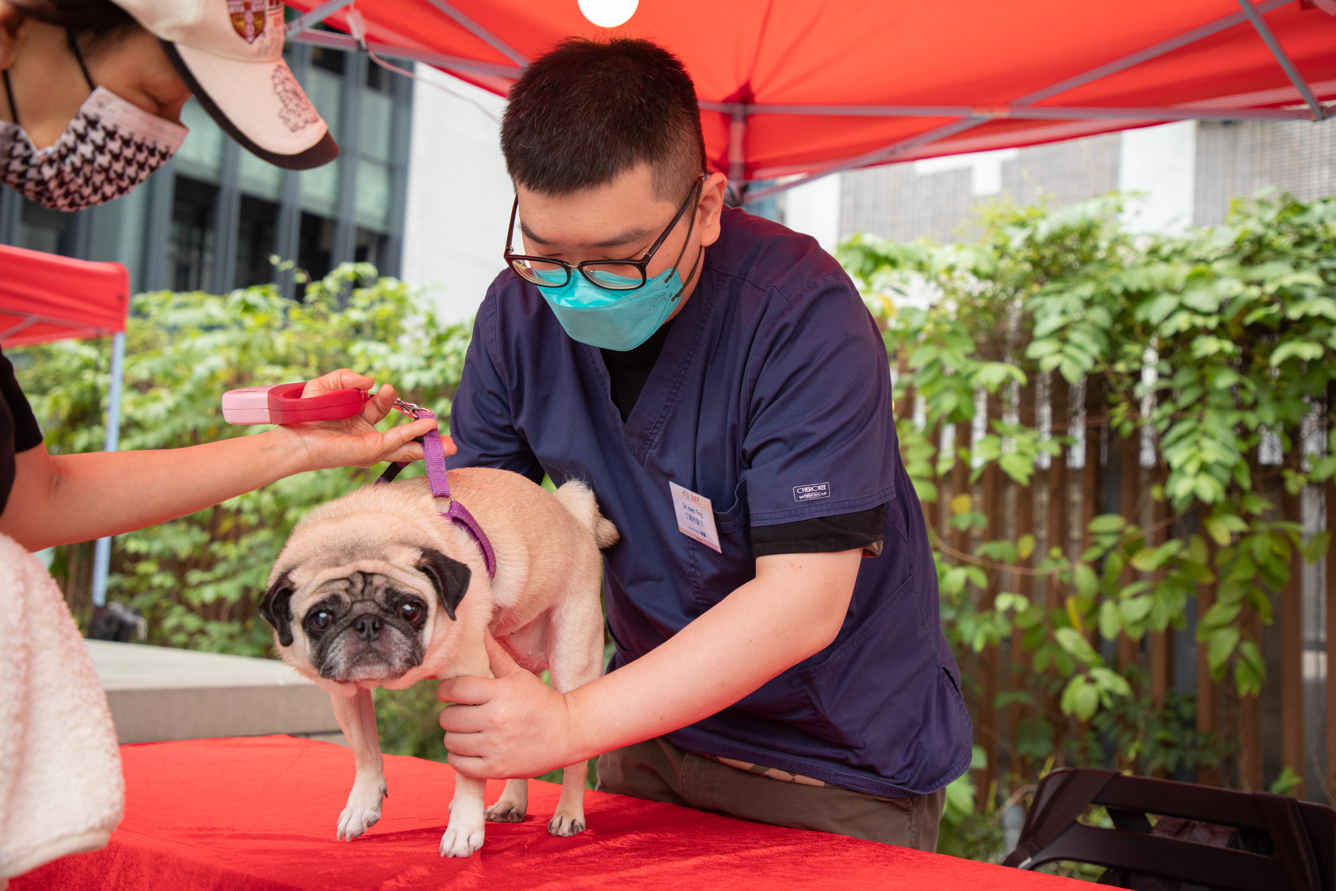 A veterinary surgeon provided basic vet consultation service at the Carnival.