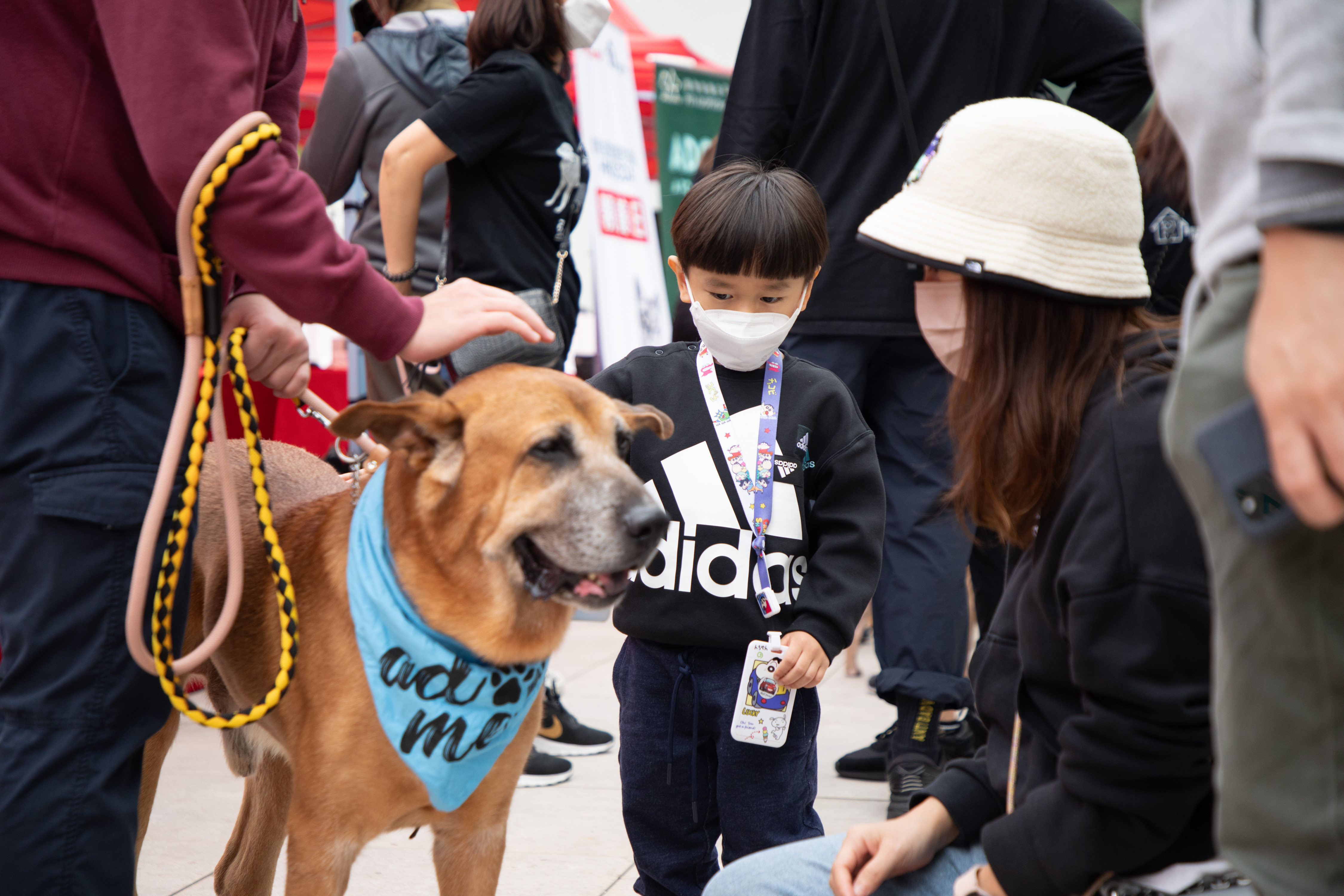 Kids learnt to approach dogs under parents’ supervision.