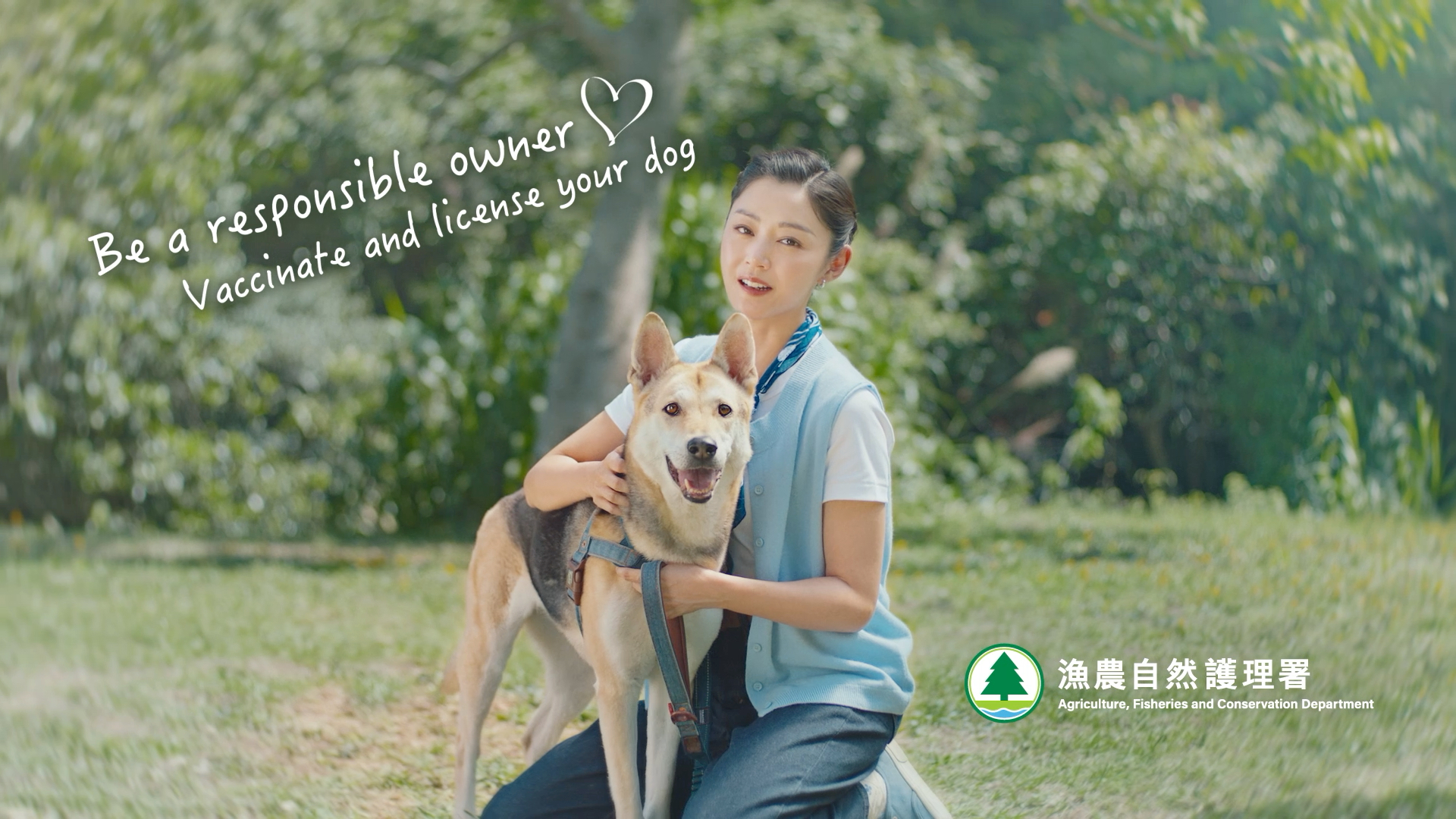 Be a responsible owner. Vaccinate and license your dog