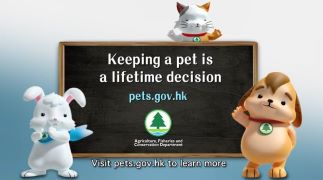 Keeping a pet is a lifetime decision
