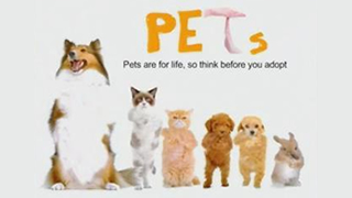 Think Twice Before You Adopt a Pet