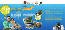 Leaflet "How to choose a suitable boarding kennel" Leaflet "How to choose a suitable boarding kennel"
