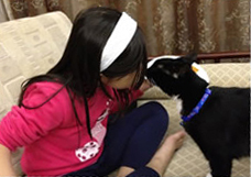 A girl playing with her cat