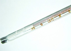 A rectal thermometer