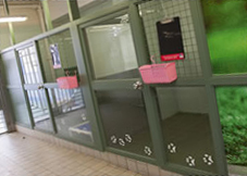 Individual compartment for animals Individual compartment for animals