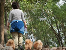 Owner walking with her dogs