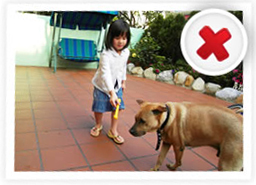 A child being left alone with a dog