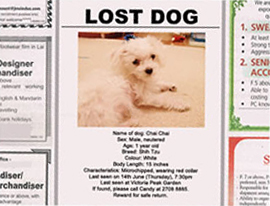 Lost dog ads in newspaper