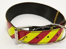 Special dog collar Special dog collar