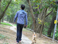 Large dog off leash in a country park with dog owner nearby Large dog off leash in a country park with dog owner nearby
