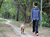 Dog owner holding his dog on a leash while leaving country park area