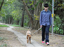 Dog owner holding his dog on a leash while leaving country park area Dog owner holding his dog on a leash while leaving country park area