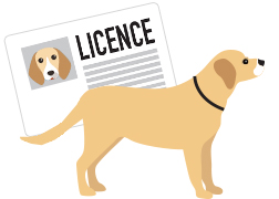 licence 