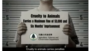 Cruelty to Animals Carries Penalties