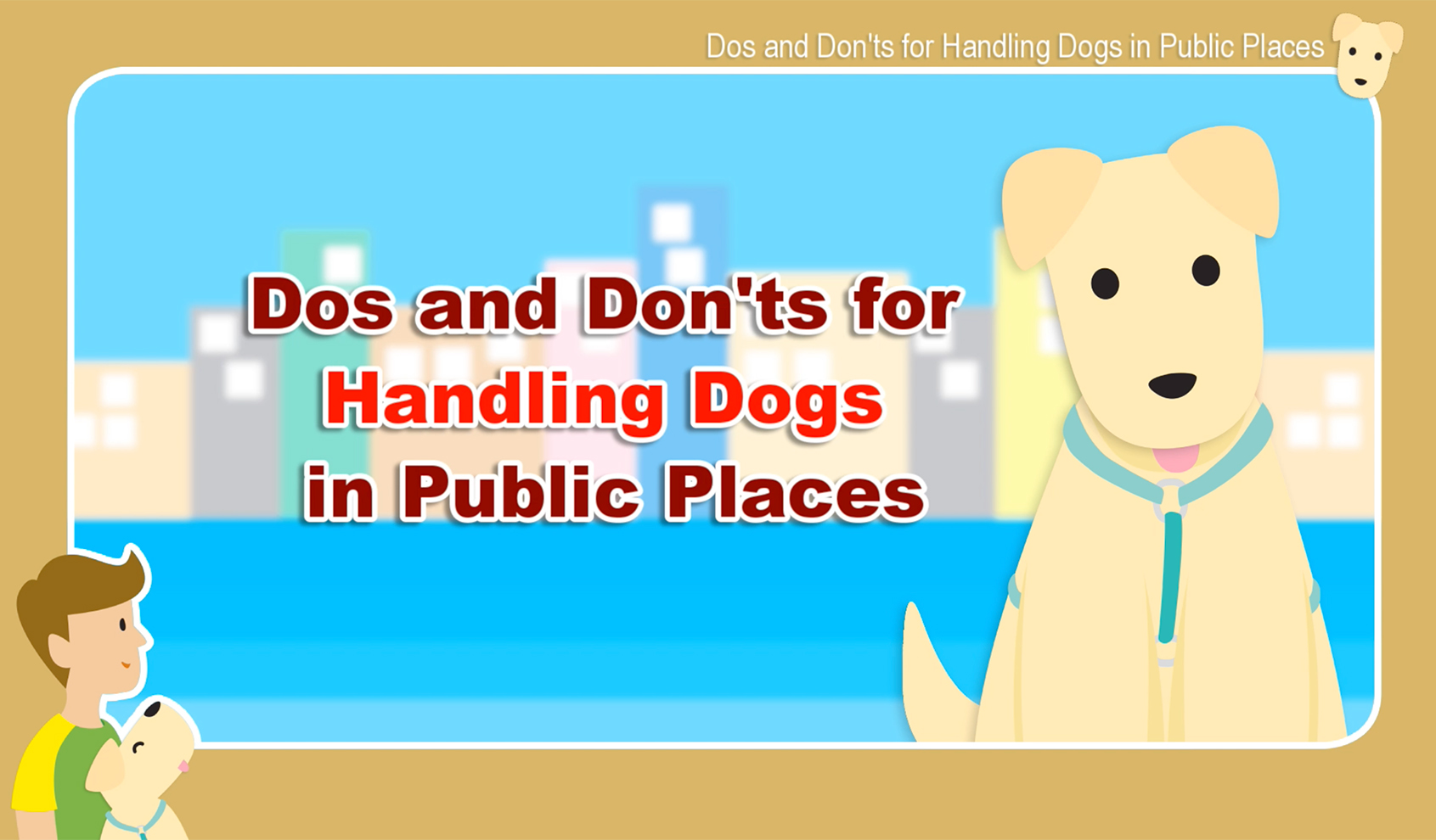 Dos and Don’ts for Handling Dogs in Public Places