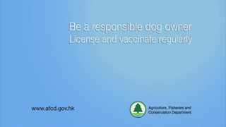 Dog Licensing and Microchipping