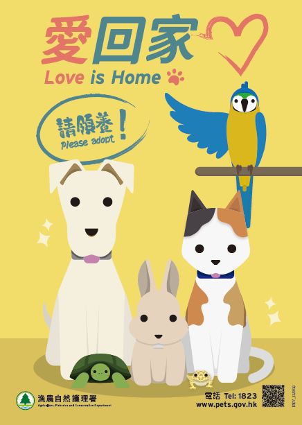「爱回家」海报