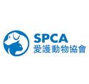 爱护动物协会(SPCA)