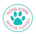 HK Rescue Puppies