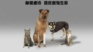 举报虐待 拯救动物生命