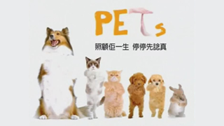 养宠物之前 停停先谂真