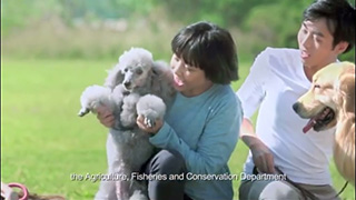 加强规管动物售卖　保障动物福利	