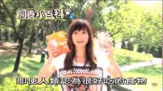 Pet Walk 日记第三集