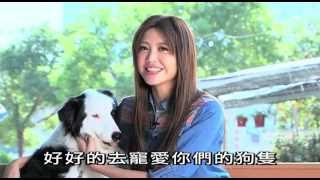 有你宠爱 第一集