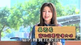 有你宠爱 第五集