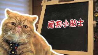 有你宠爱 第九集