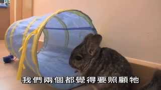 有你宠爱 第十集