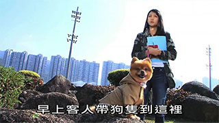 宠爱一生 第一集