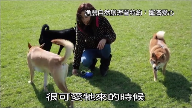 宠满爱心 第一集