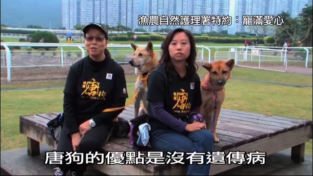 宠满爱心 第三集