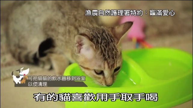 宠满爱心 第五集