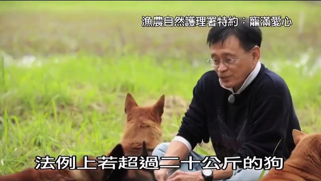 宠满爱心 第八集