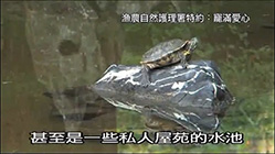 宠满爱心 第十集