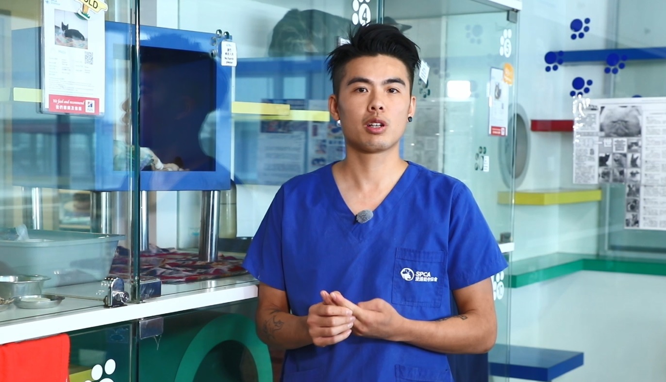 宠爱一生(2018) 第二集 