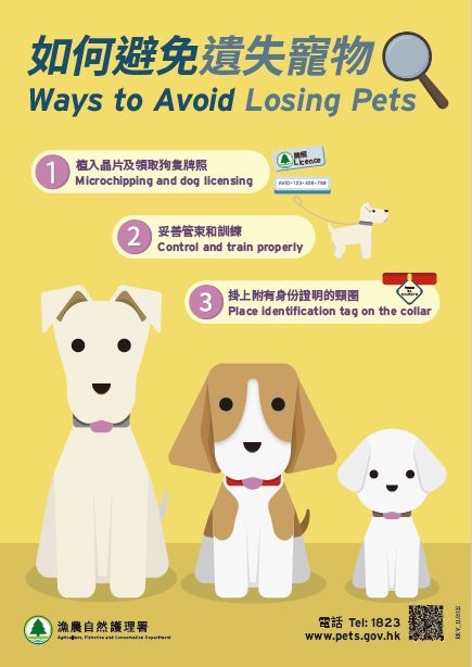 「如何避免遗失宠物」海报