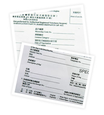狗只牌照