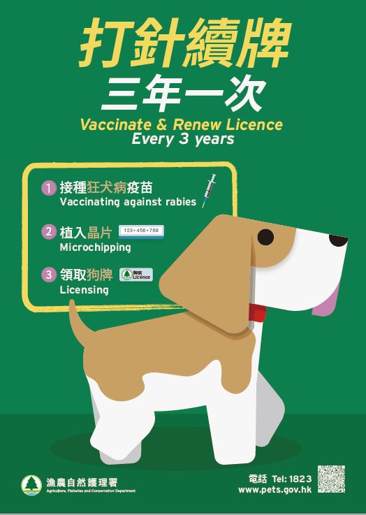 「打针续牌 三年一次」海报