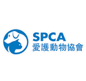 愛護動物協會(SPCA)