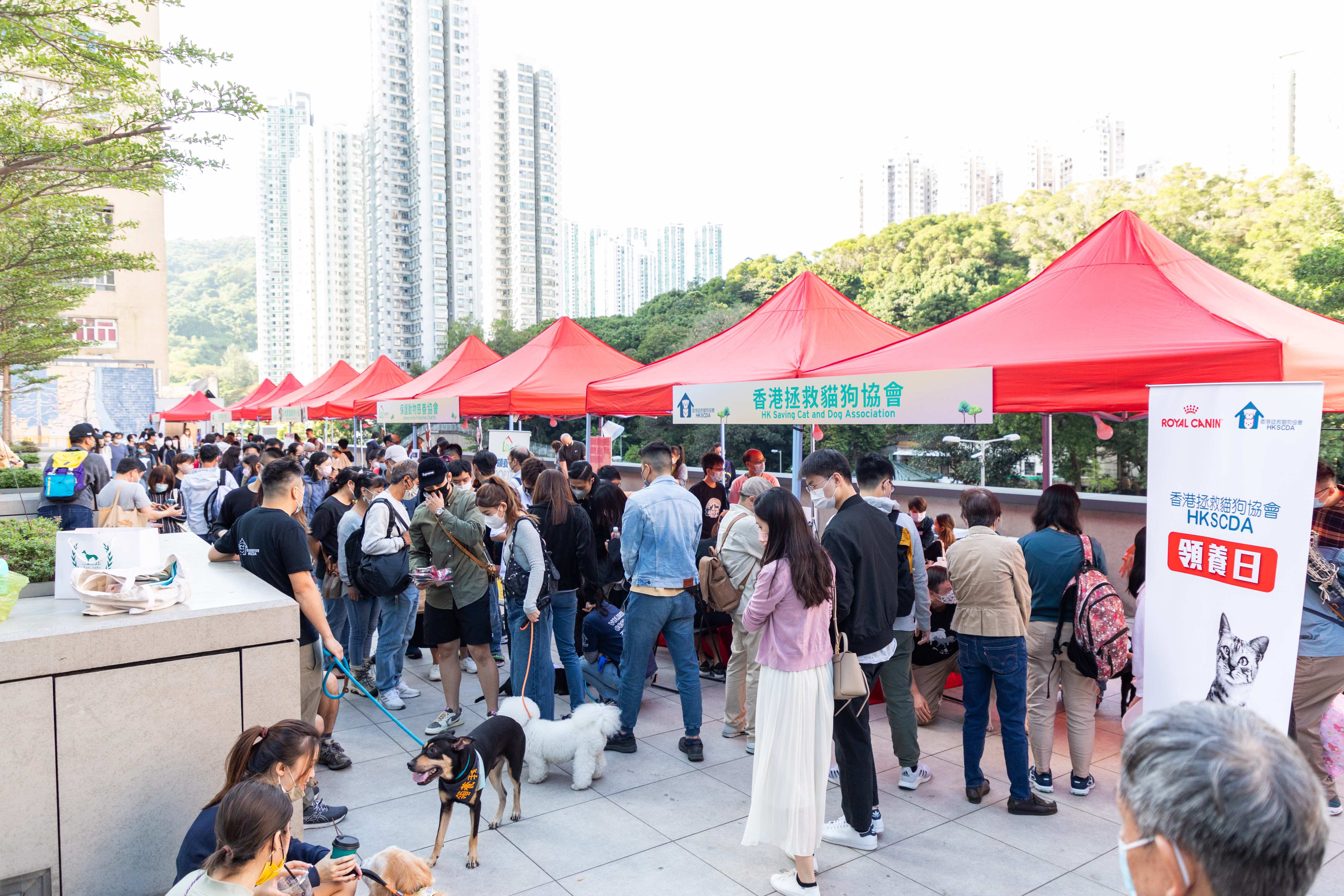 狗狗領養嘉年華節目豐富，吸引超過10,350名市民參與，場面熱鬧。