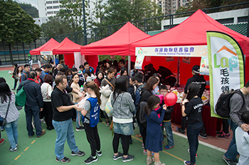 現場設有多間動物領養機構的攤位，解答市民有關領養的問題 