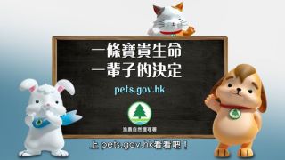 一條寶貴生命 一輩子的決定