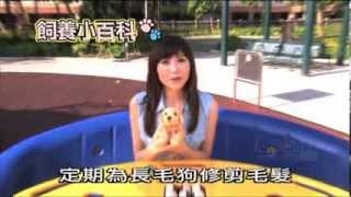 Pet Walk 日記第二集