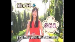 Pet Walk 日記第四集